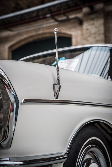 Financial Statements