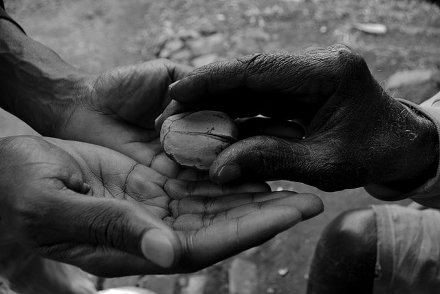 Initial Public Offering (IPO) Documentation