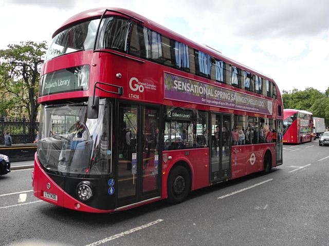 Initial Public Offering (IPO) Documentation