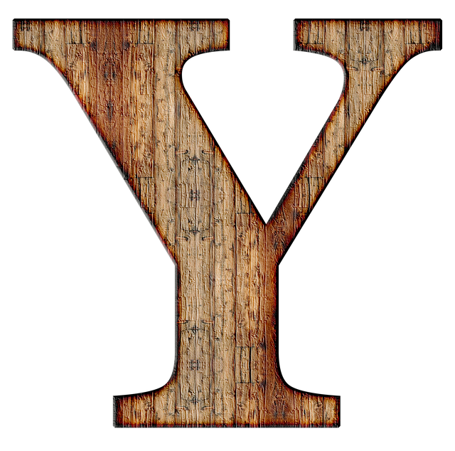 Initial Public Offering (IPO) Documentation