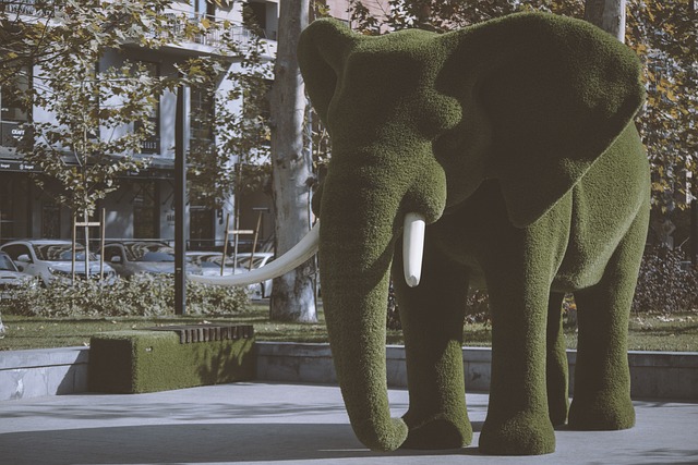 Initial Public Offering (IPO) Documentation