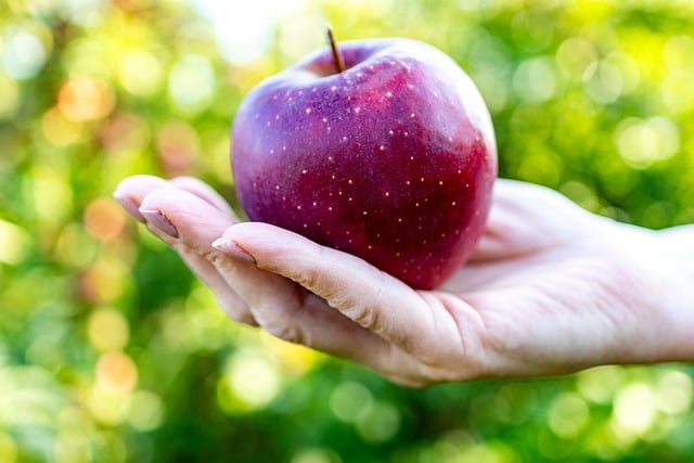 Initial Public Offering (IPO) Documentation