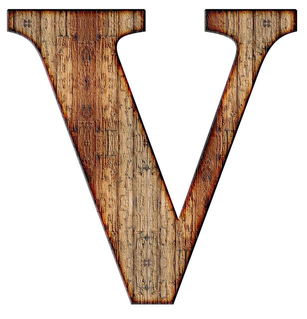 Initial Public Offering (IPO) Documentation