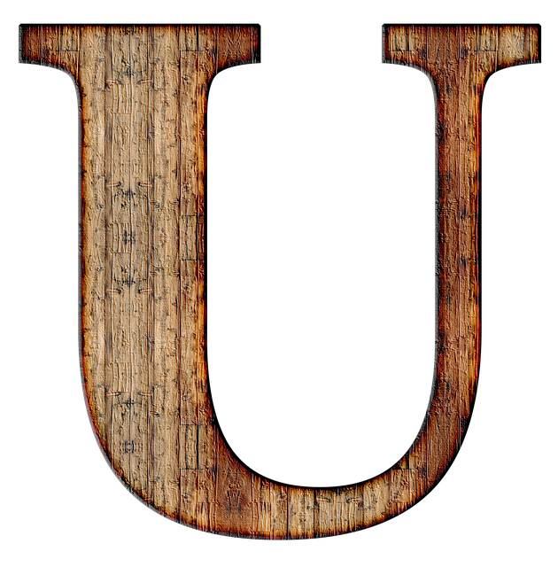 Initial Public Offering (IPO) Documentation