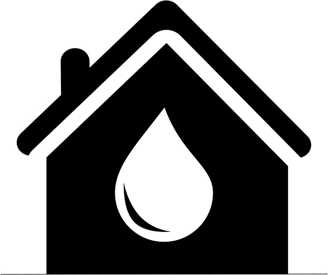 Intellectual Property