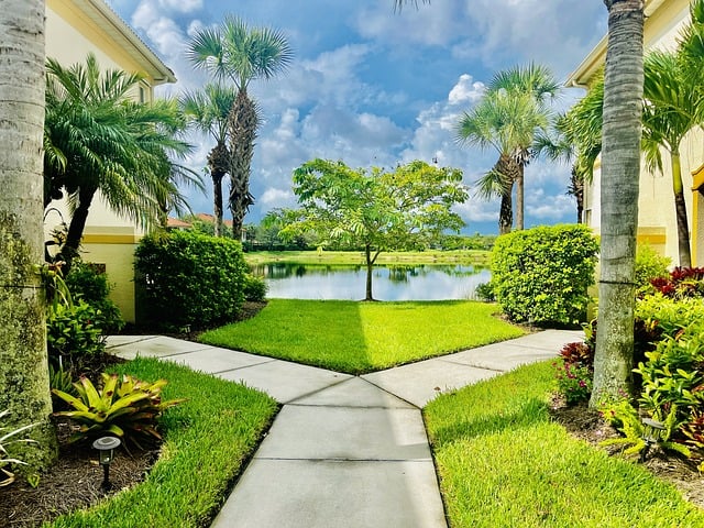 Intellectual Property