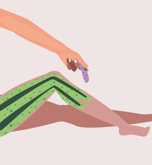 Internal Financial Policies and Procedures