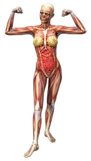 Internal Financial Policies and Procedures