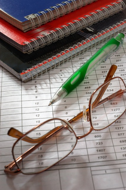 Internal Financial Policies and Procedures
