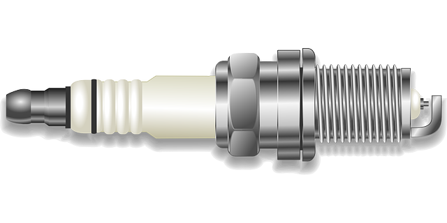 Internal Financial Policies and Procedures