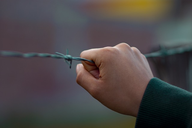 Internal Financial Policies and Procedures