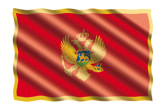 International Treaties