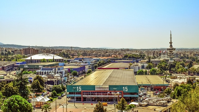 International Treaties