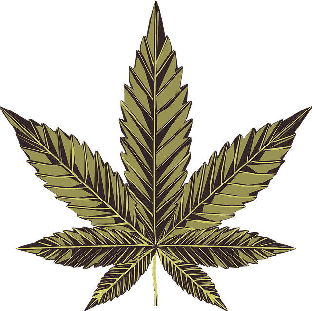 legalised