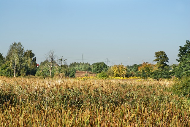 Licenses and Permits