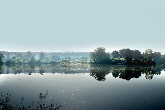 Licenses and Permits