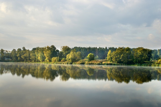 Licenses and Permits