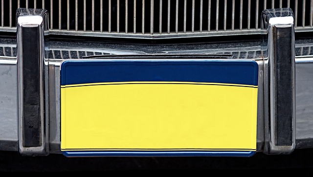 Licenses and Permits