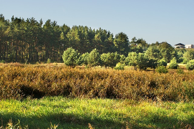 Licenses and Permits