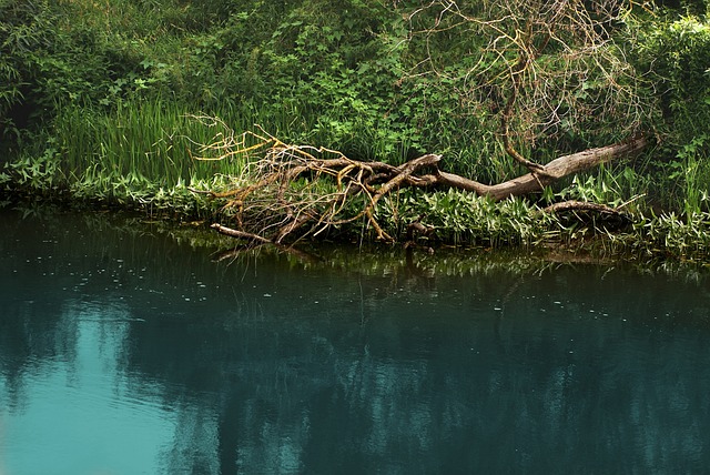 Licenses and Permits