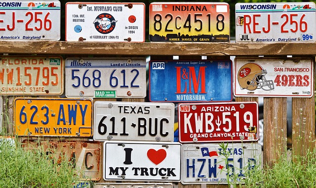 Licenses and Permits