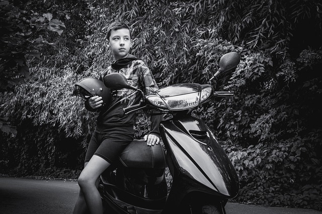 Licenses and Permits