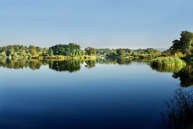 Licenses and Permits