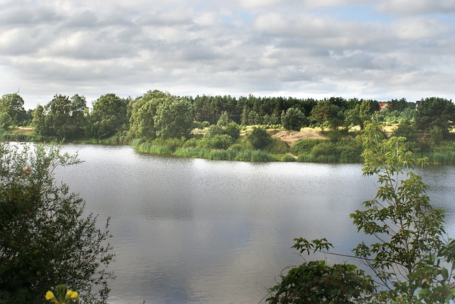 Licenses and Permits