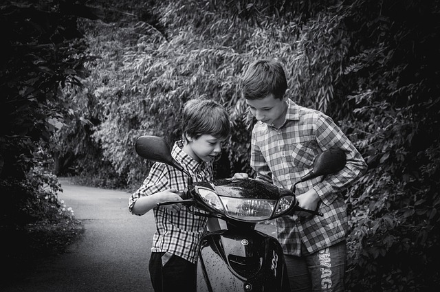 Licenses and Permits