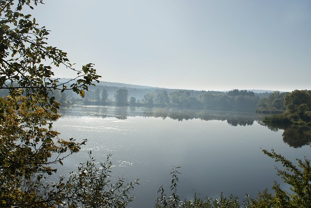 Licenses and Permits