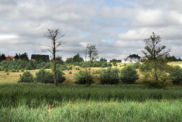 Licenses and Permits