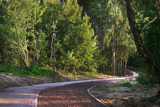 Licenses and Permits