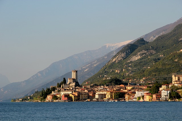 Licenses and Permits