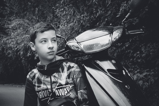 Licenses and Permits