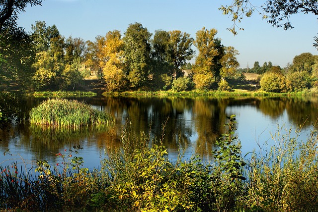 Licenses and Permits