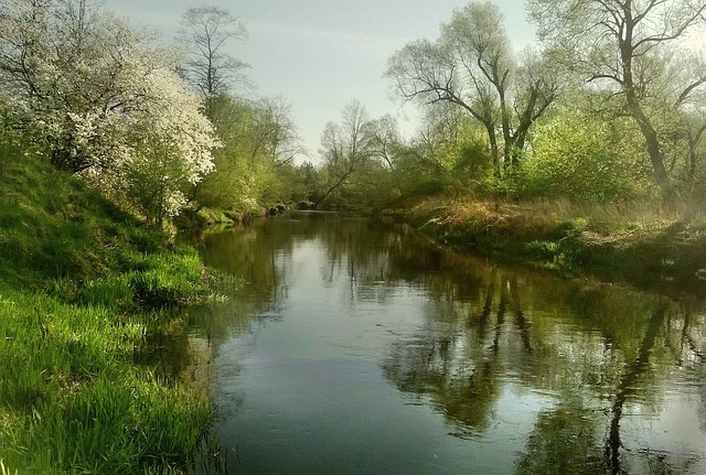 Licenses and Permits