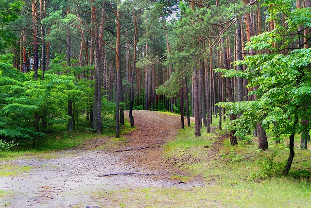 Licenses and Permits