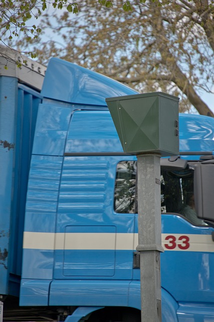 Licenses and Permits