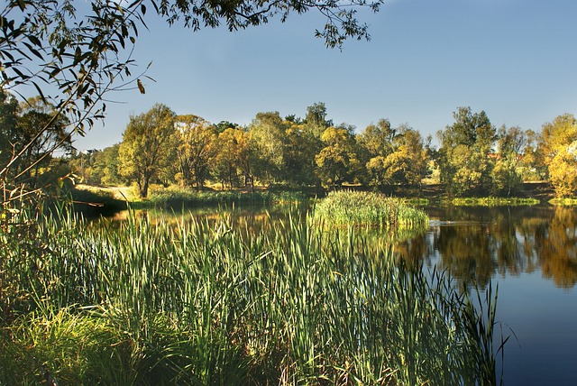 Licenses and Permits