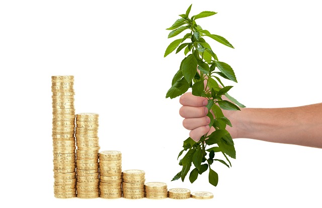 Loan Agreements and Credit Reports