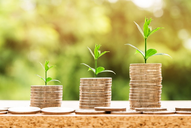 Loan Agreements and Credit Reports