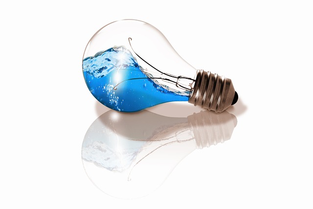 Meeting Minutes and Board Resolutions