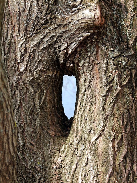 Mergers and Acquisitions Documents