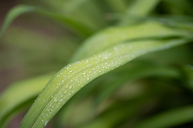 Non-Disclosure Agreements (NDAs)