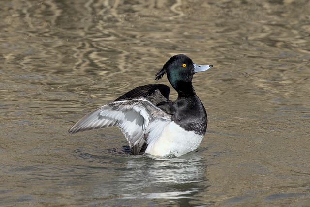 Pension Fund Documentation