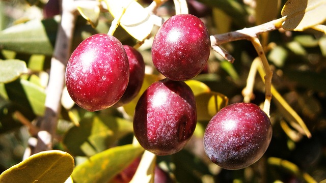 Pension Fund Documentation