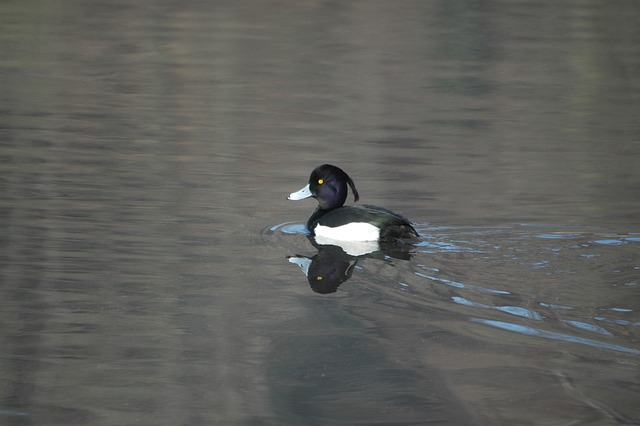 Pension Fund Documentation