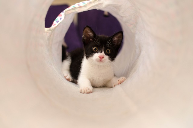 Pension Fund Documentation