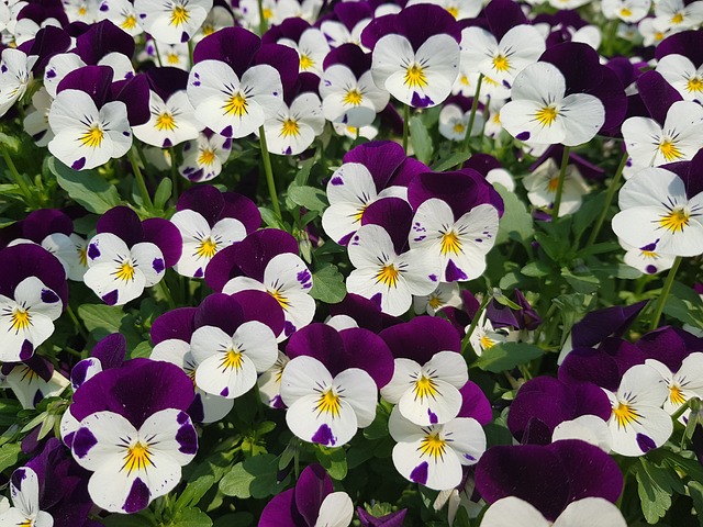 Pension Fund Documentation