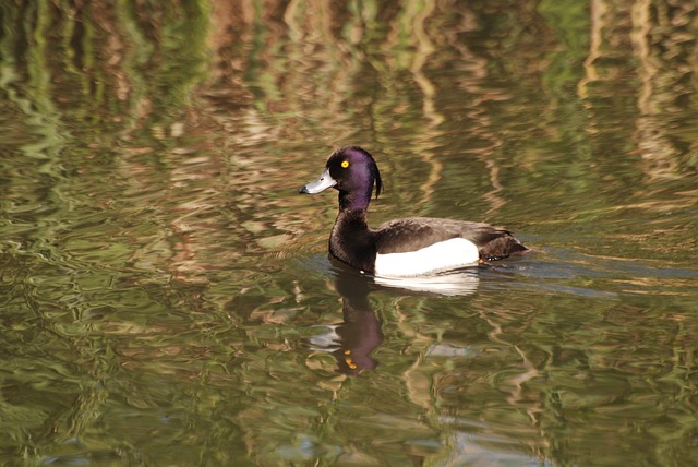 Pension Fund Documentation